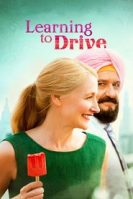 Learning to Drive (2014)