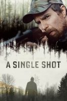 A Single Shot (2013)