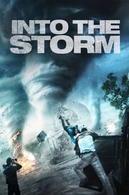 Into the Storm (2014)